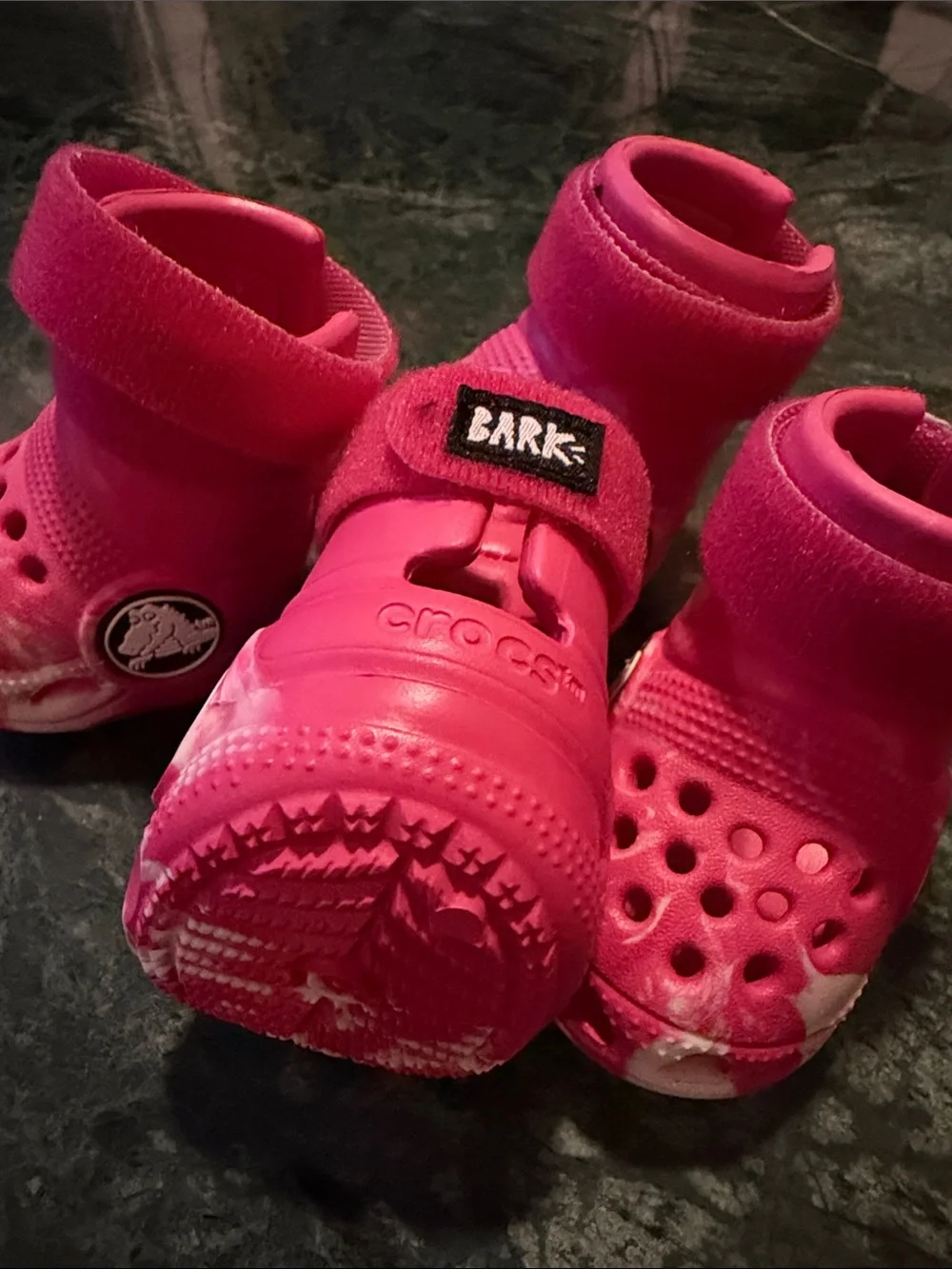 DOG CROCS pink Dragon fruit Bark Box Exclusive, Size Small